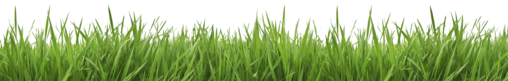 Sweet Prices Lawn Care & Snow Removal Oshawa