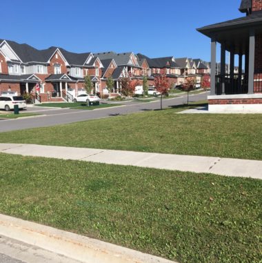 Landscape Design Services