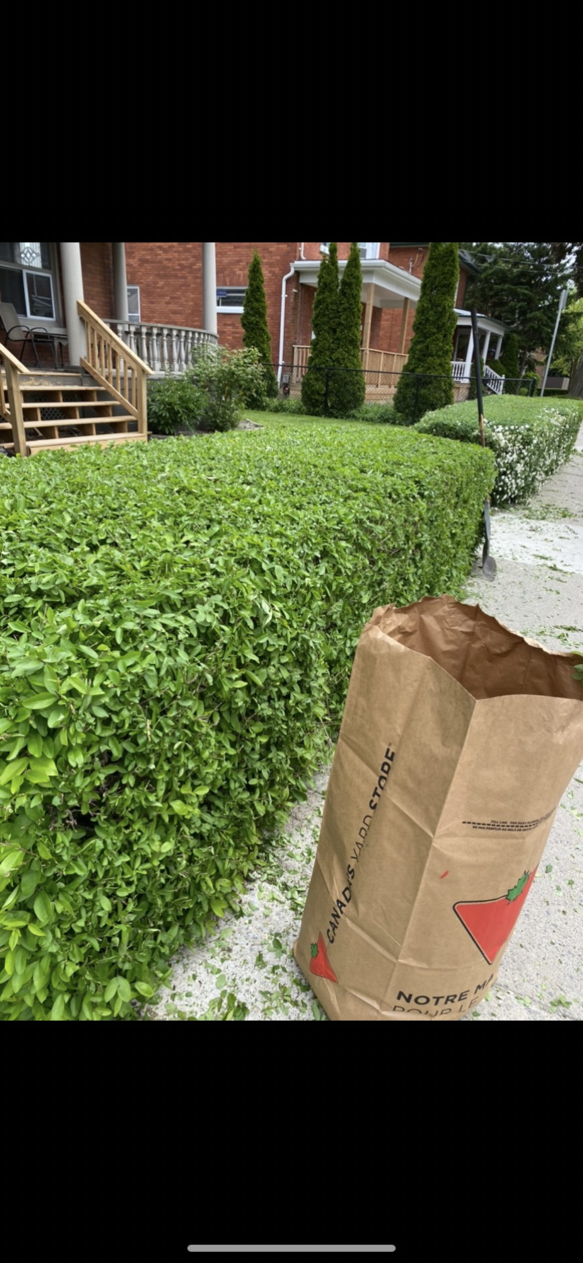 Beautifully striped mowed lawn by Sweet Price Lawn Care