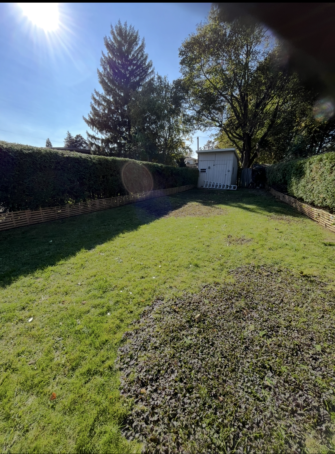 Professional lawn mowing and edging service by Sweet Price